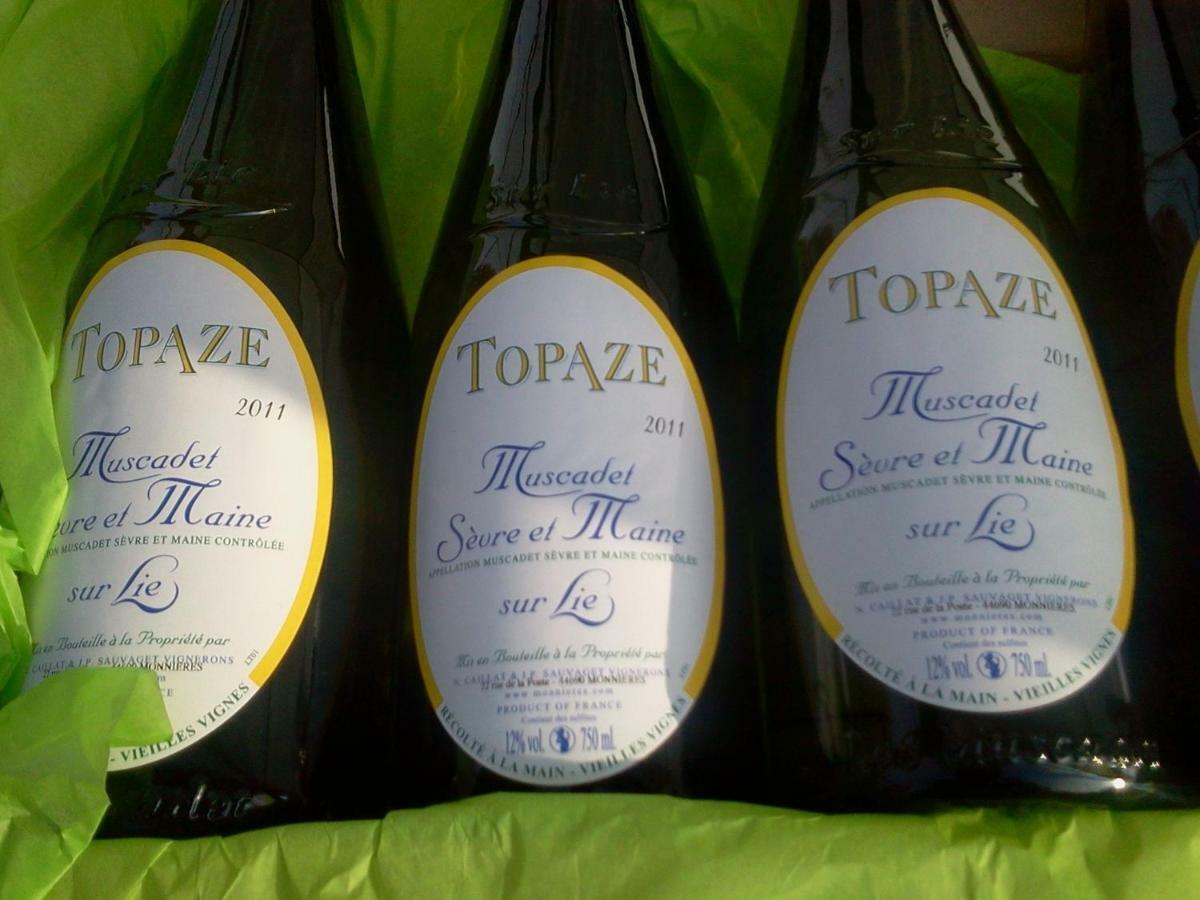 Topaze Sejour Chez Le Vigneron Monnieres  Εξωτερικό φωτογραφία